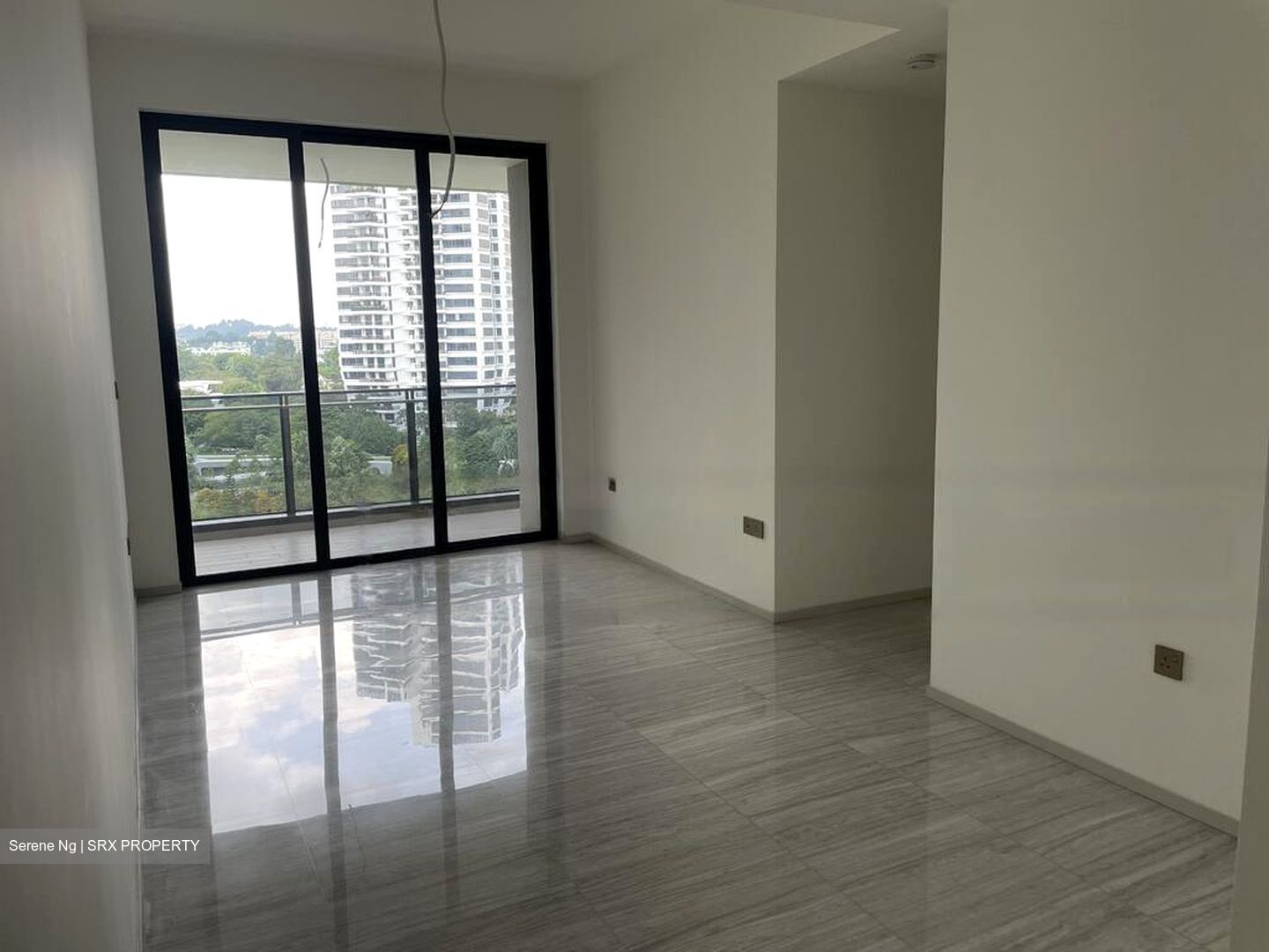 Leedon Green (D10), Condominium #436142421